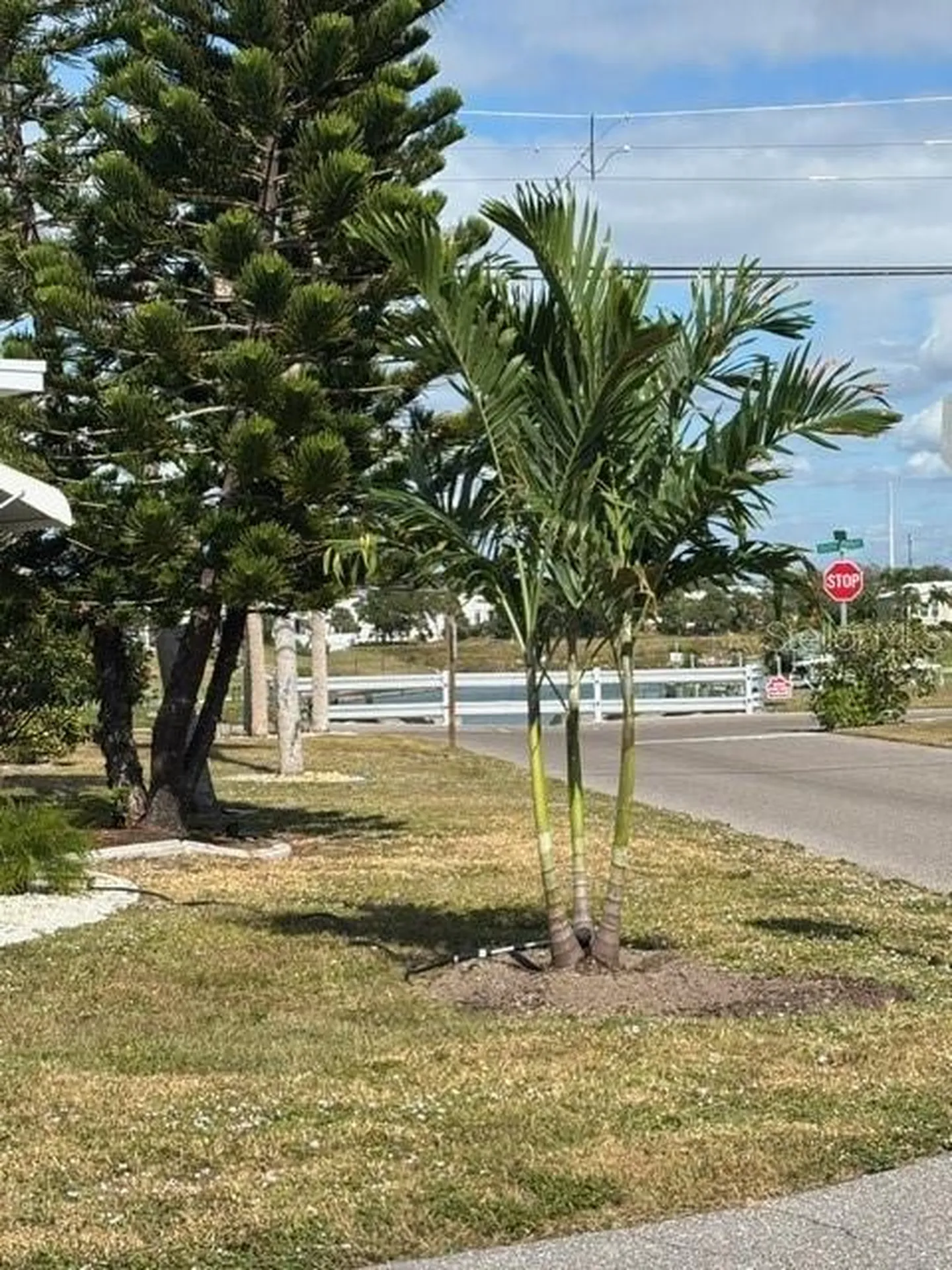 740 Carefree Venice FL 34285