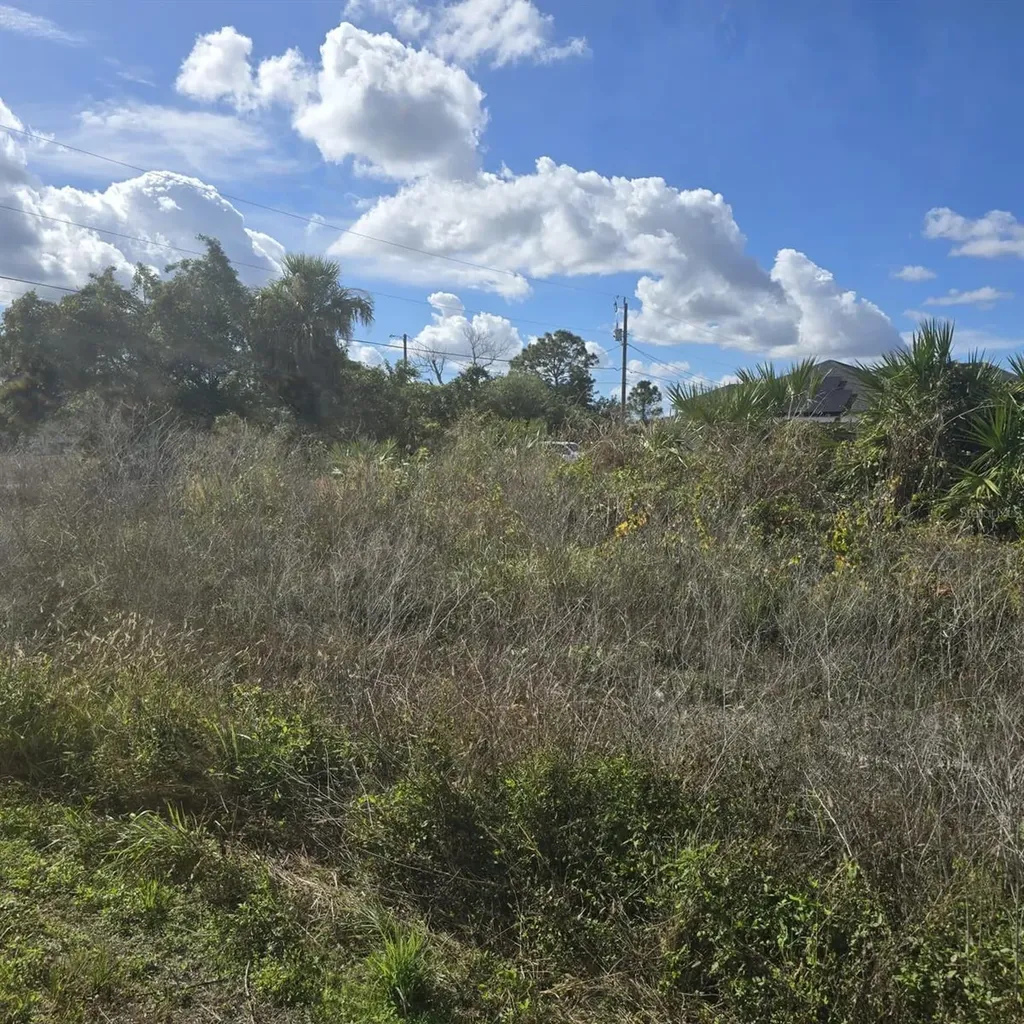 2804 E 11th Street Lehigh Acres FL 33972