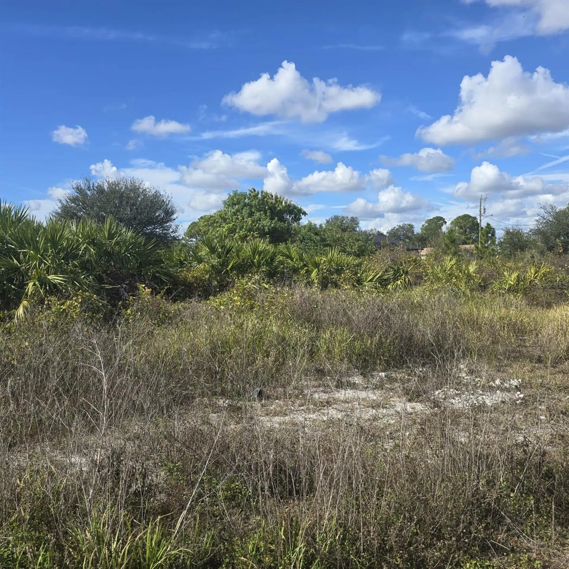2804 E 11th Street Lehigh Acres FL 33972
