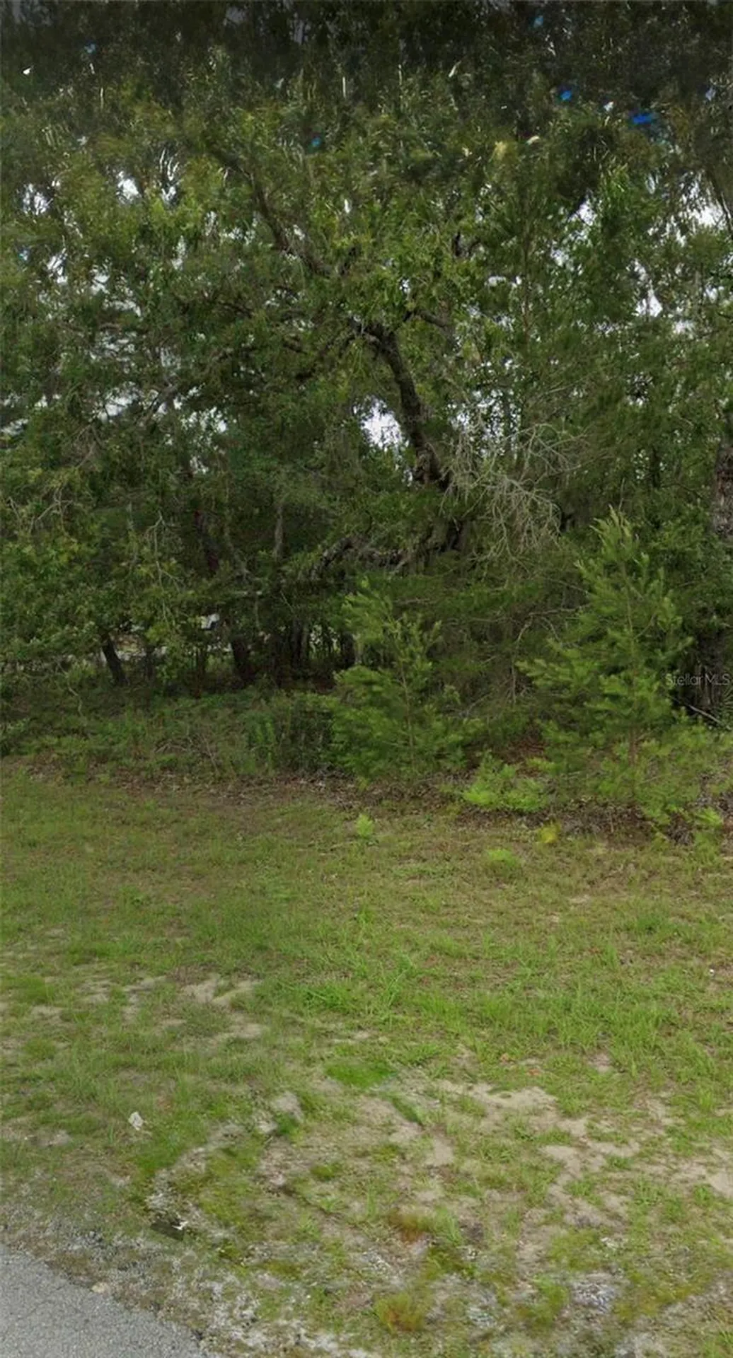 Tbd 55th Court Road Ocala FL 34473