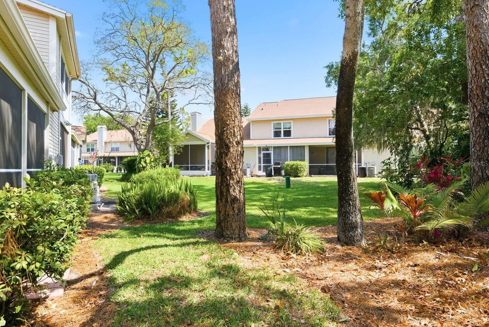 2128 Clover Hill Road Palm Harbor FL 34683