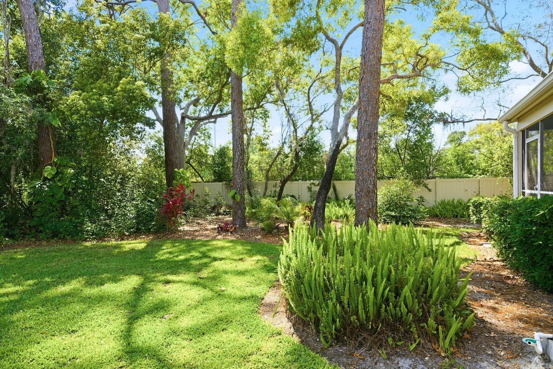 2128 Clover Hill Road Palm Harbor FL 34683