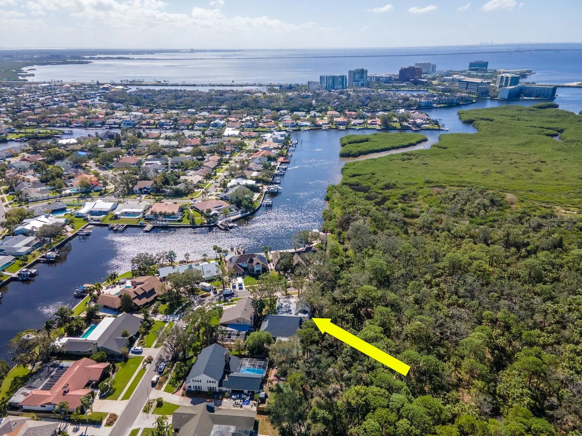 4202 Deepwater Lane Tampa FL 33615