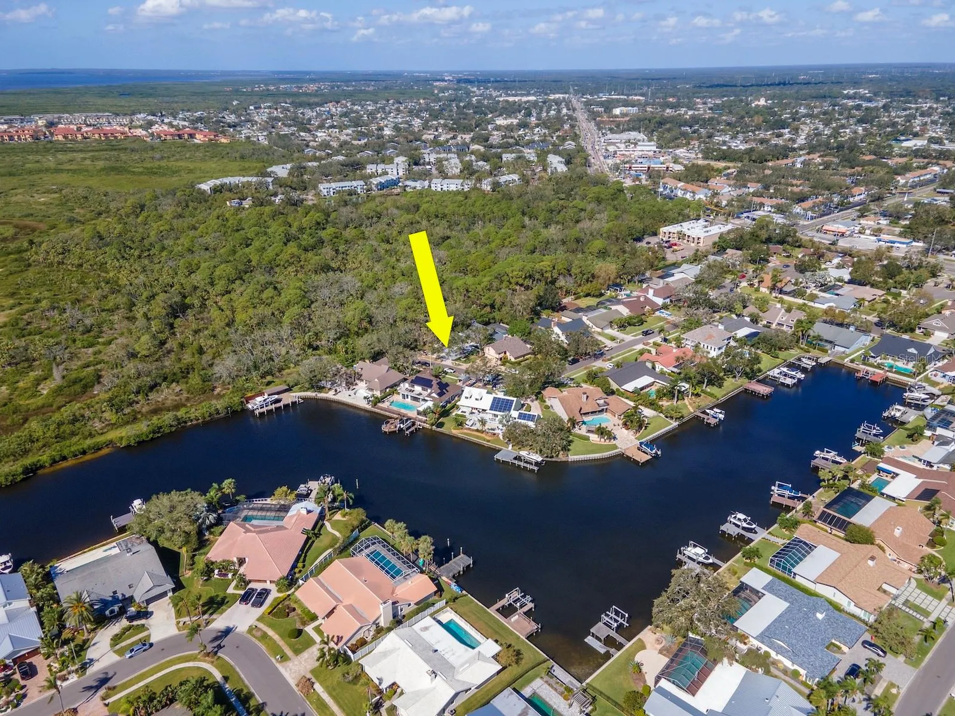 4202 Deepwater Lane Tampa FL 33615