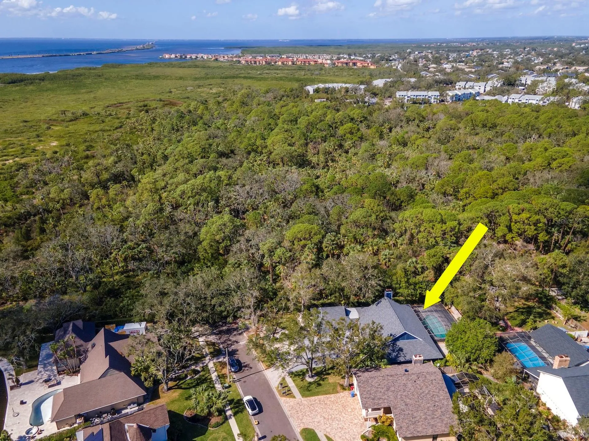 4202 Deepwater Lane Tampa FL 33615