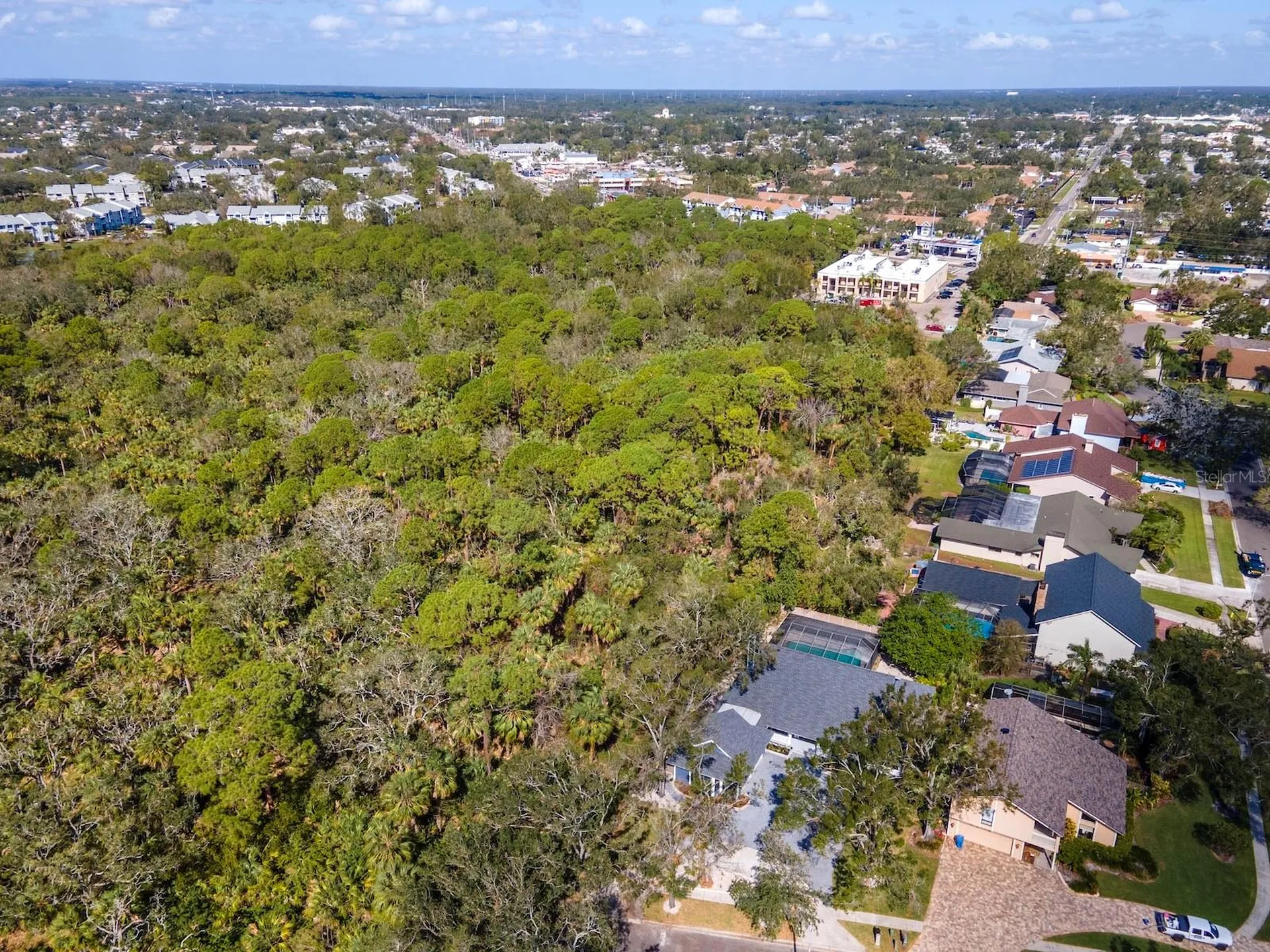 4202 Deepwater Lane Tampa FL 33615