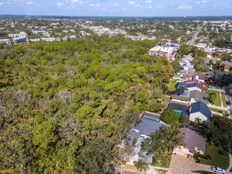 4202 Deepwater Lane Tampa FL 33615
