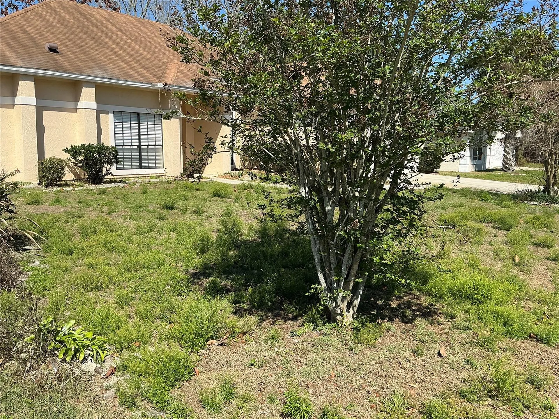 1009 Corkwood Drive Oviedo FL 32765