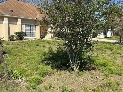 1009 Corkwood Drive Oviedo FL 32765