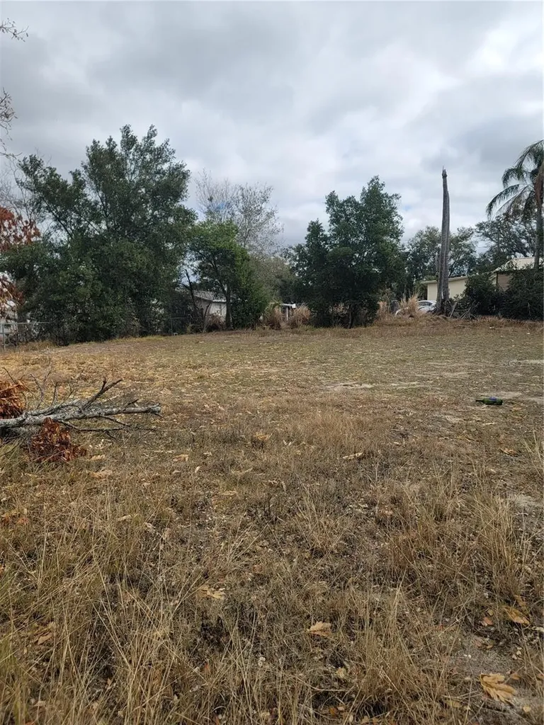 6TH Street N Haines City FL 33844