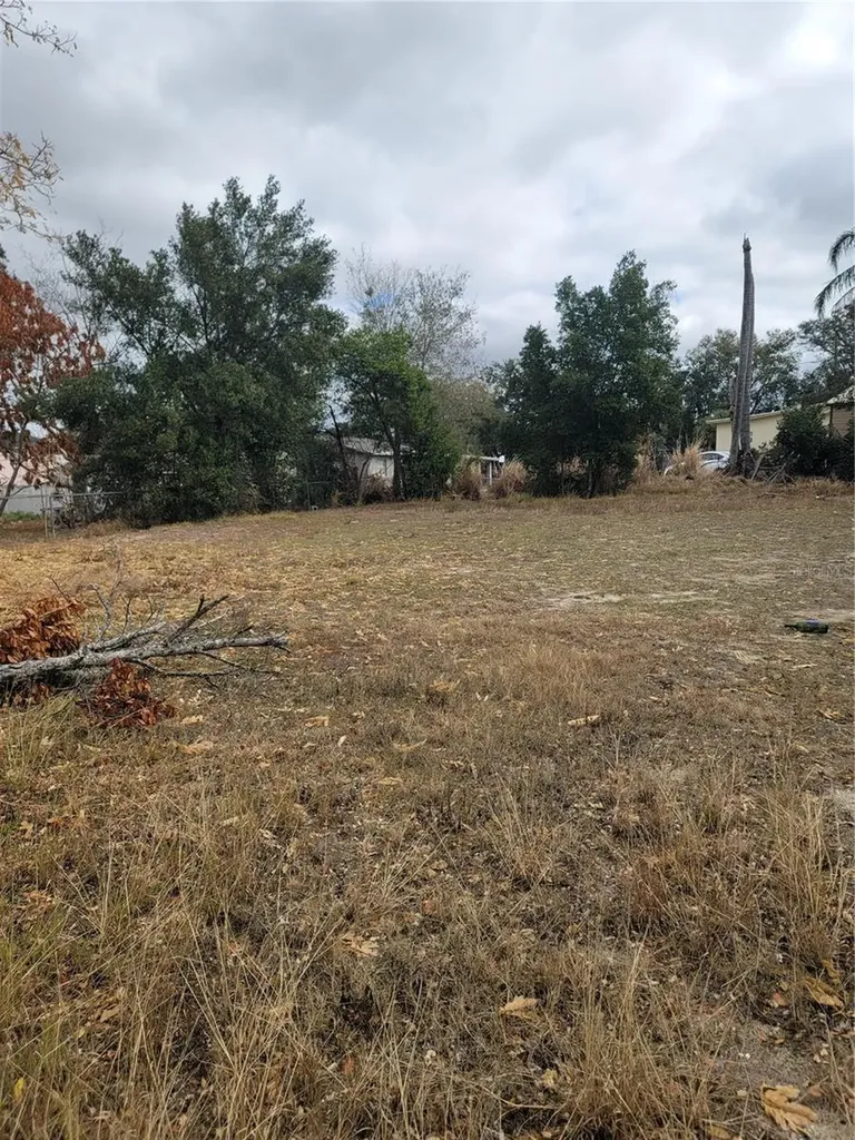 6TH Street N Haines City FL 33844