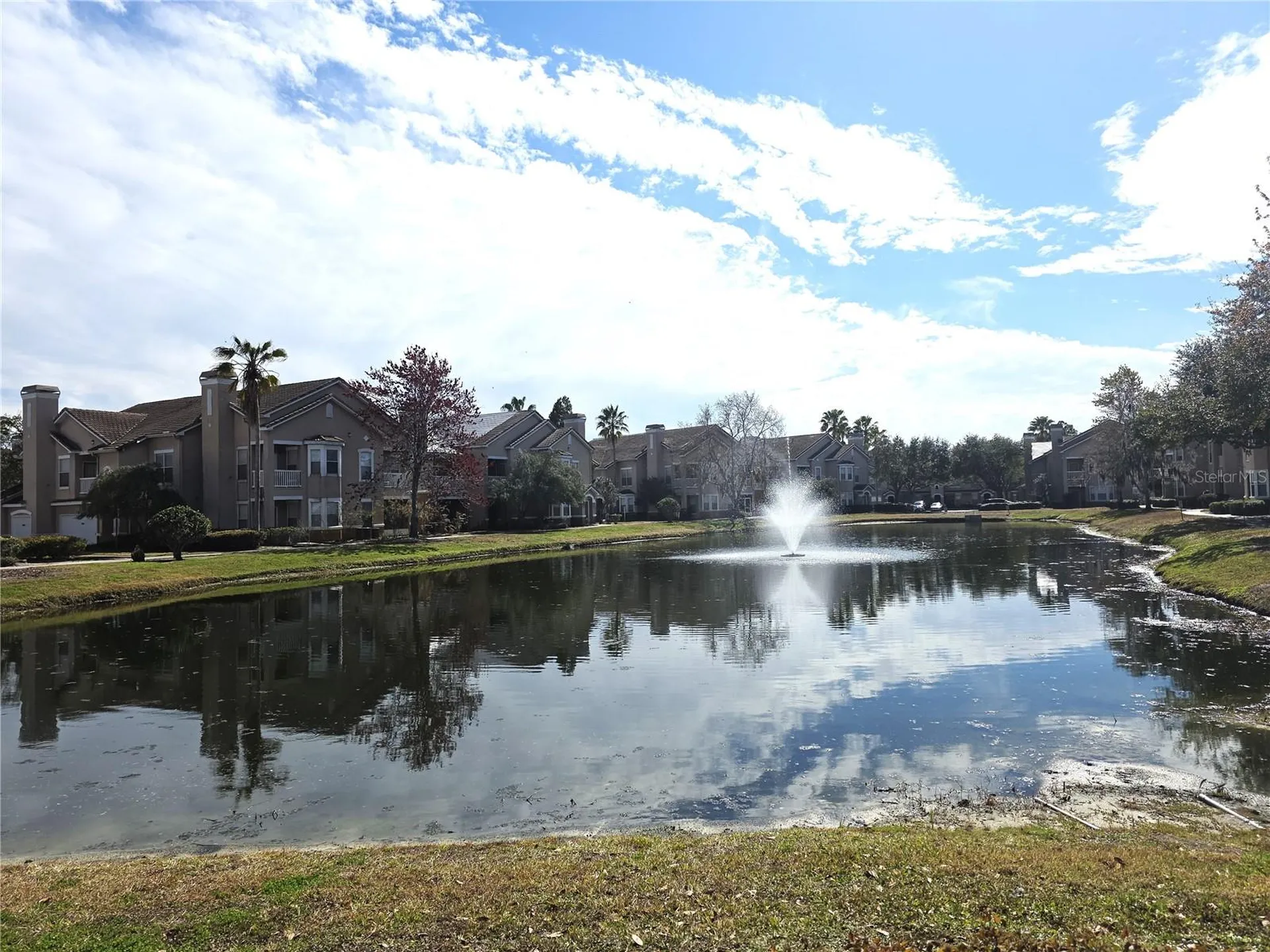 17920 Villa Creek Drive Tampa FL 33647