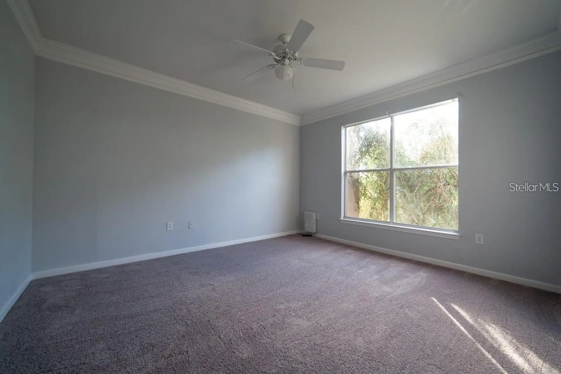 17920 Villa Creek Drive Tampa FL 33647