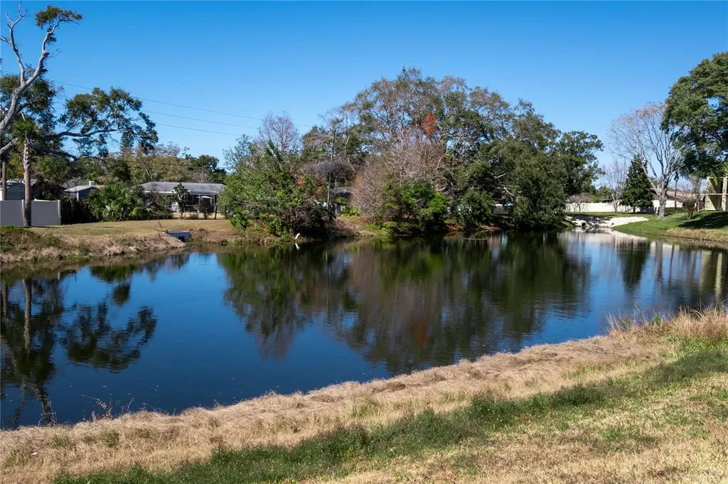 1430 Heather Ridge Boulevard Dunedin FL 34698
