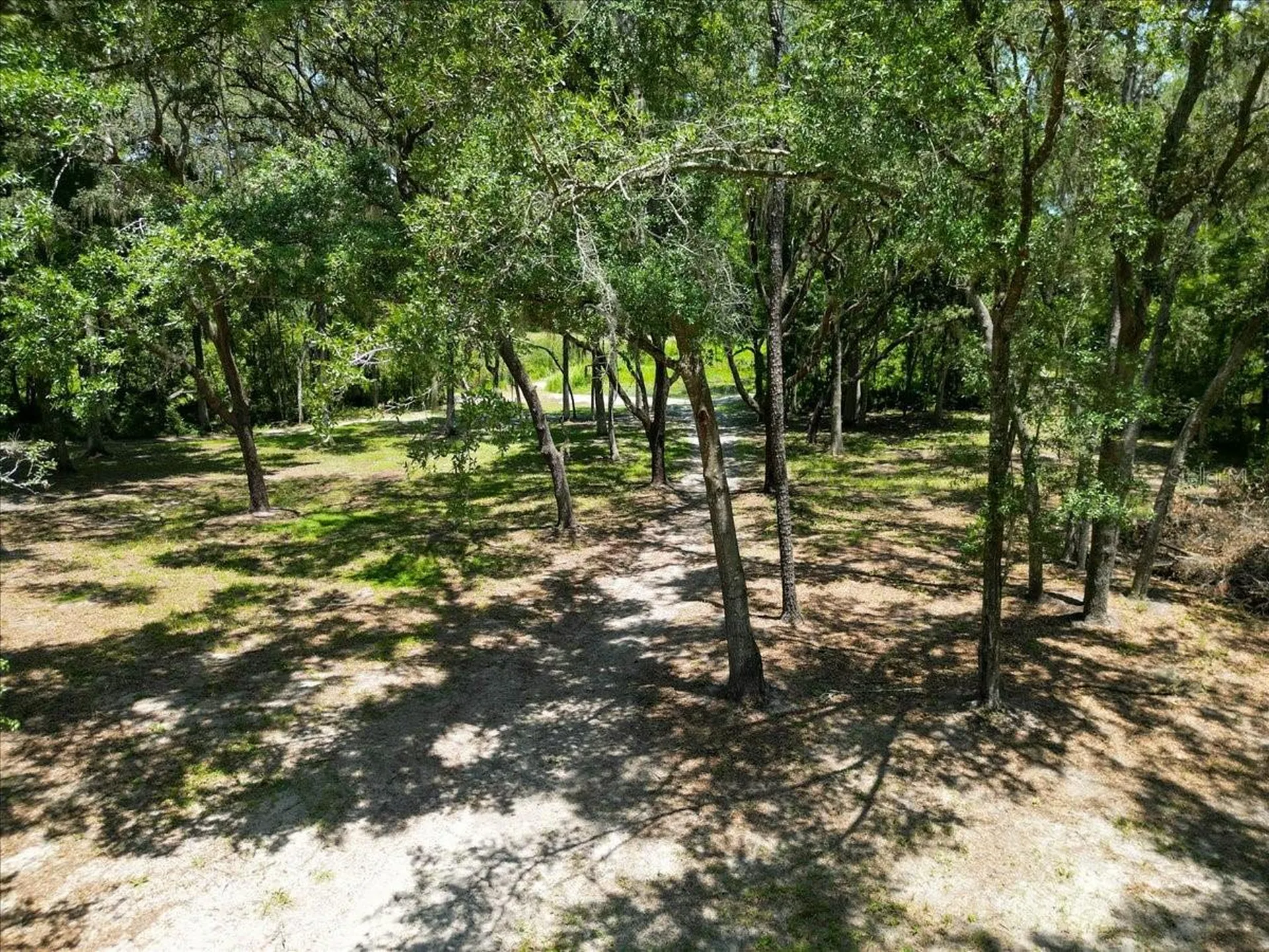 4359 SW 117th Place Ocala FL 34476