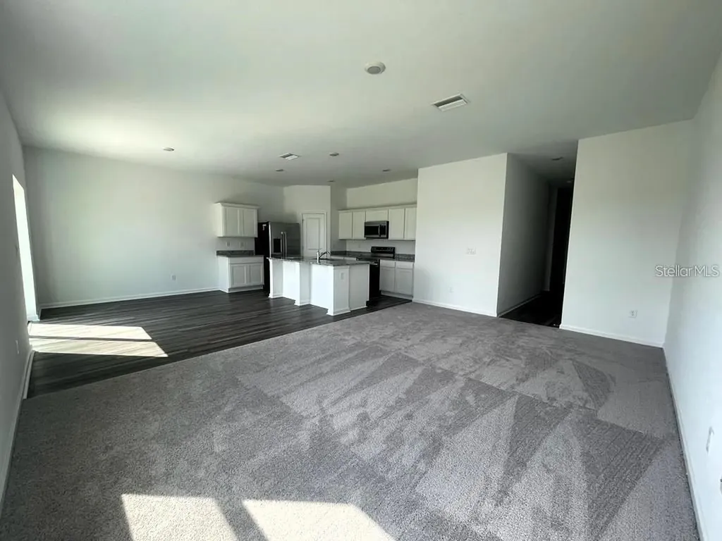 35545 Shade Fern Lane Zephyrhills FL 33541