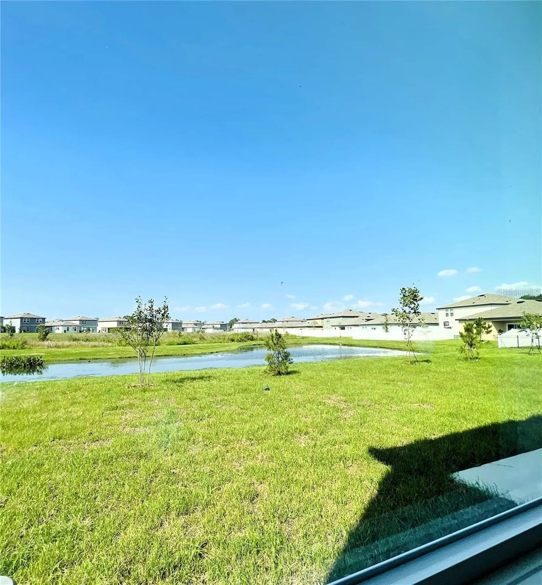 35545 Shade Fern Lane Zephyrhills FL 33541