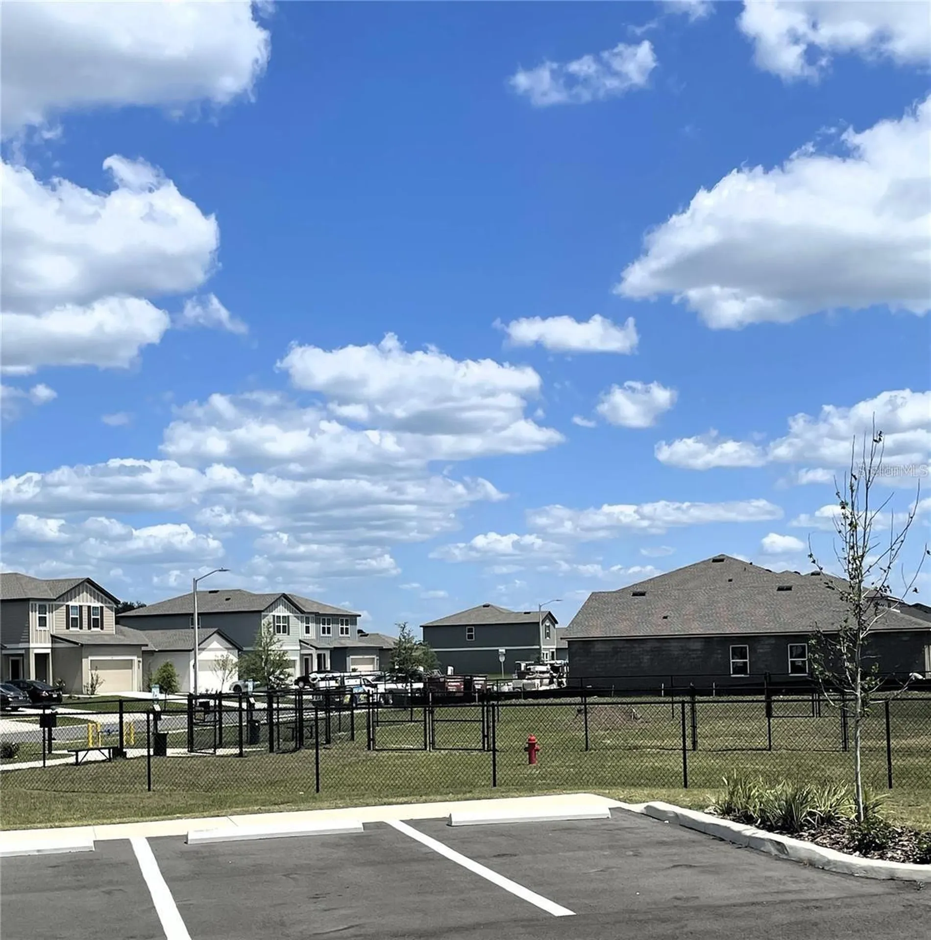 35545 Shade Fern Lane Zephyrhills FL 33541