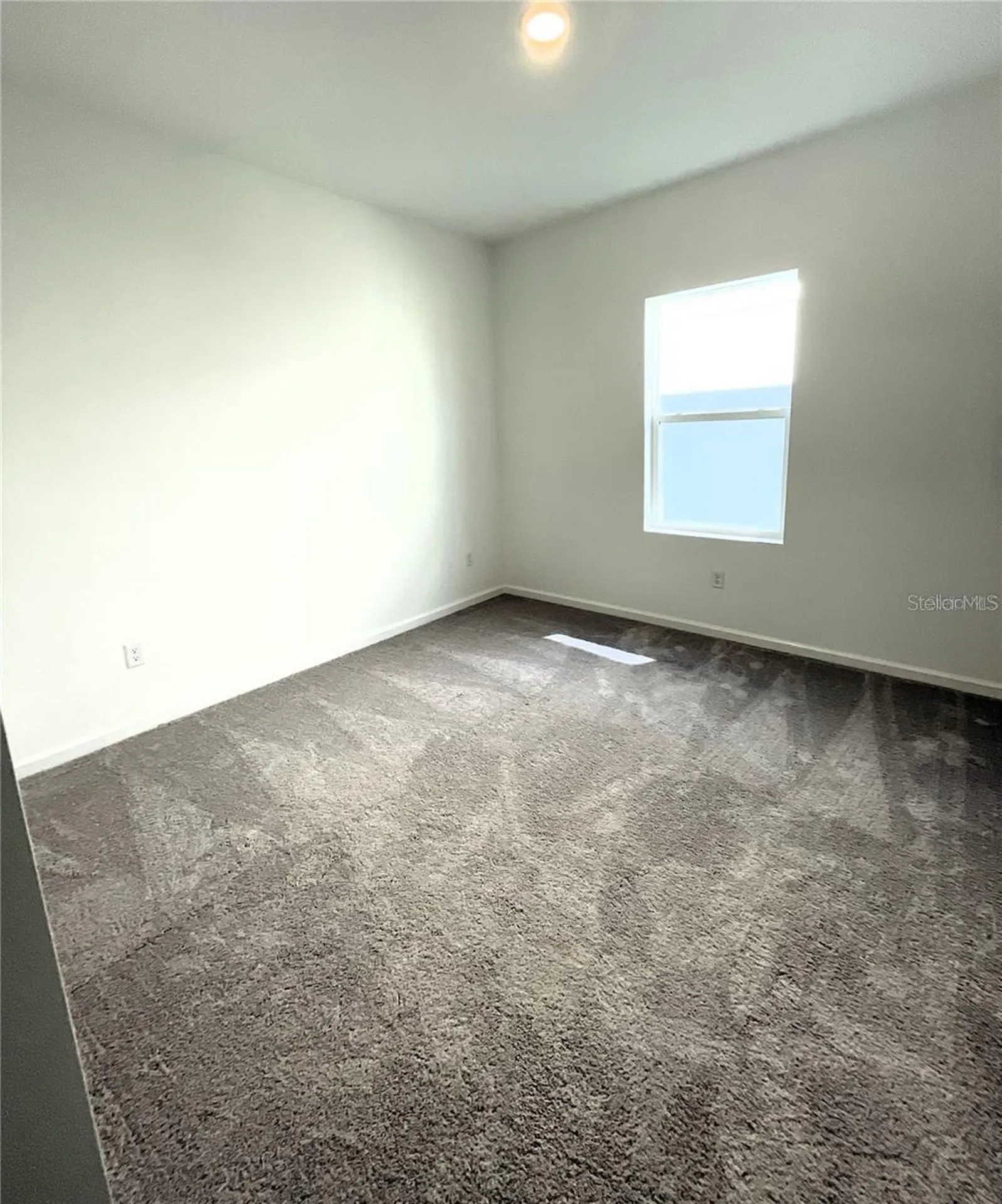 35545 Shade Fern Lane Zephyrhills FL 33541