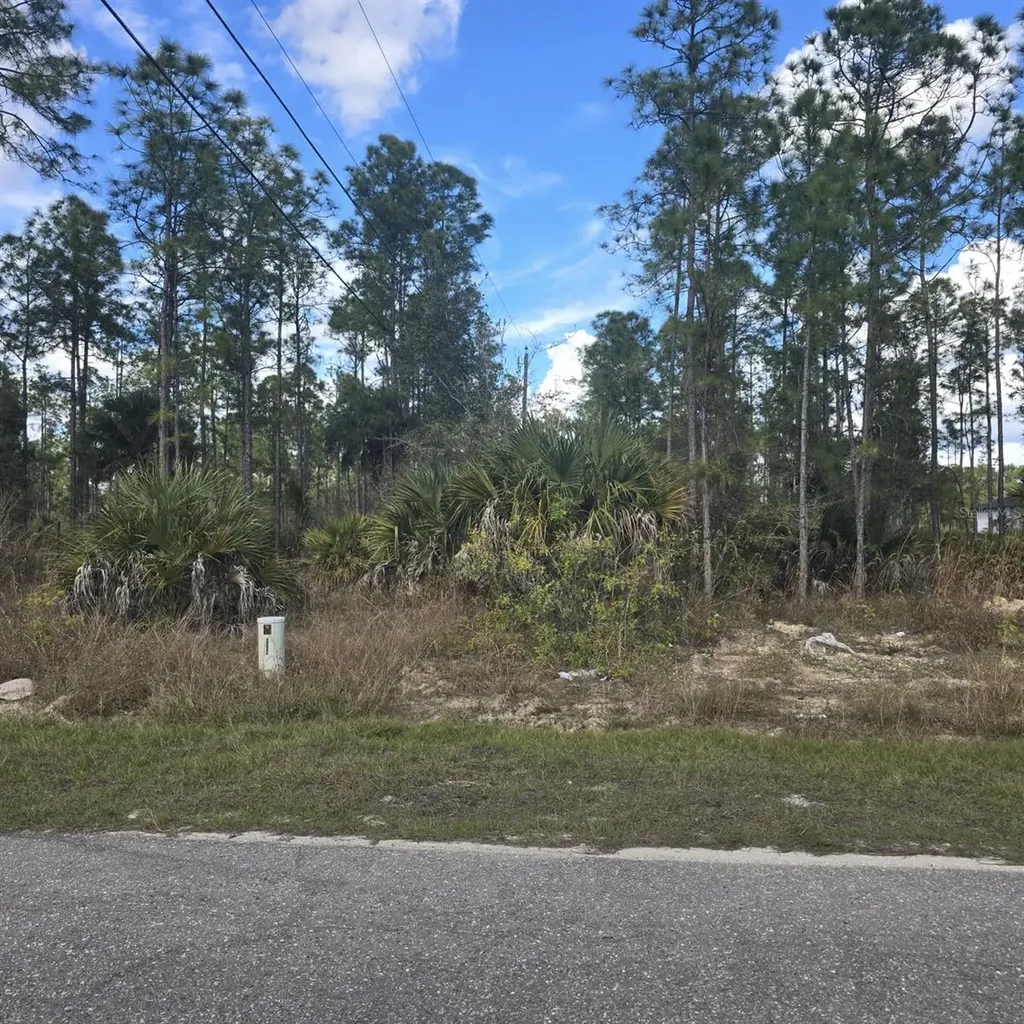 2603 E 13th Street Lehigh Acres FL 33972