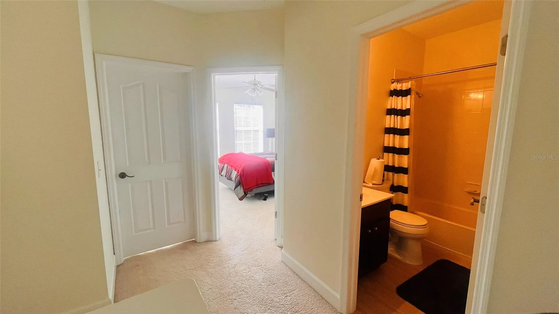 2915 Pointeview Tampa FL 33611
