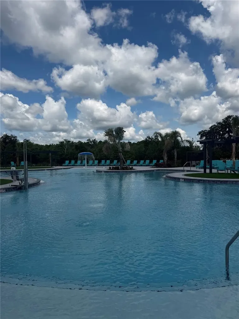 824 Horsetail Drive Davenport FL 33837