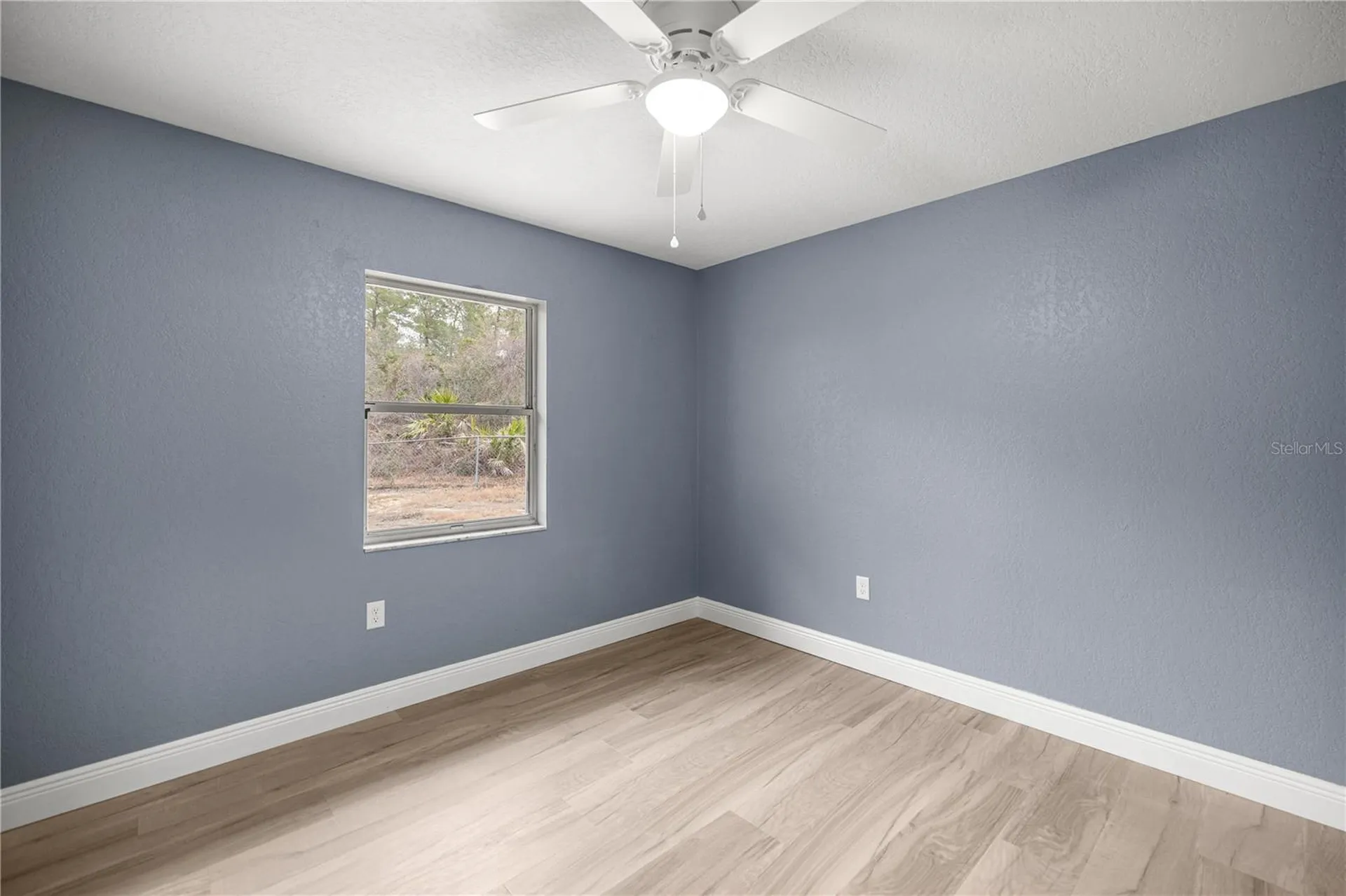 5145 SE 189th Terrace Ocklawaha FL 32179