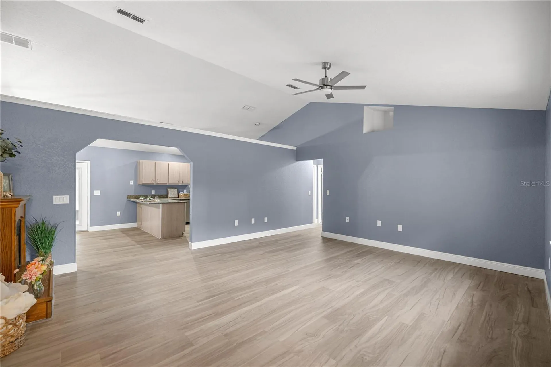 5145 SE 189th Terrace Ocklawaha FL 32179