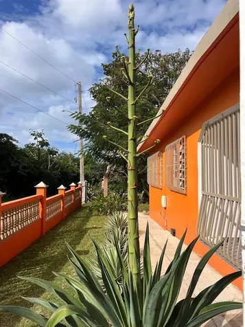 0 Solares A And B Florida Vieques PR 00765