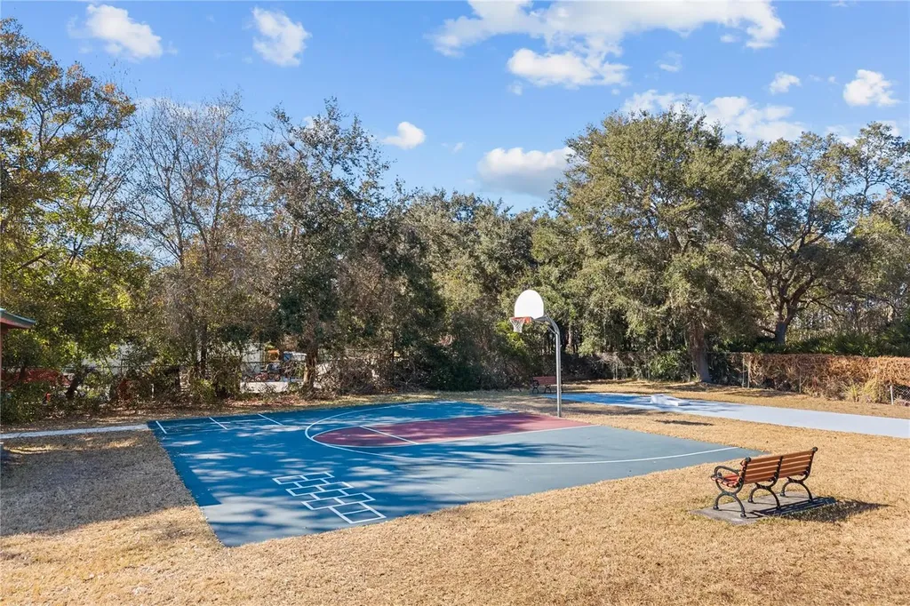 5039 Greenbriar Trail Mount Dora FL 32757