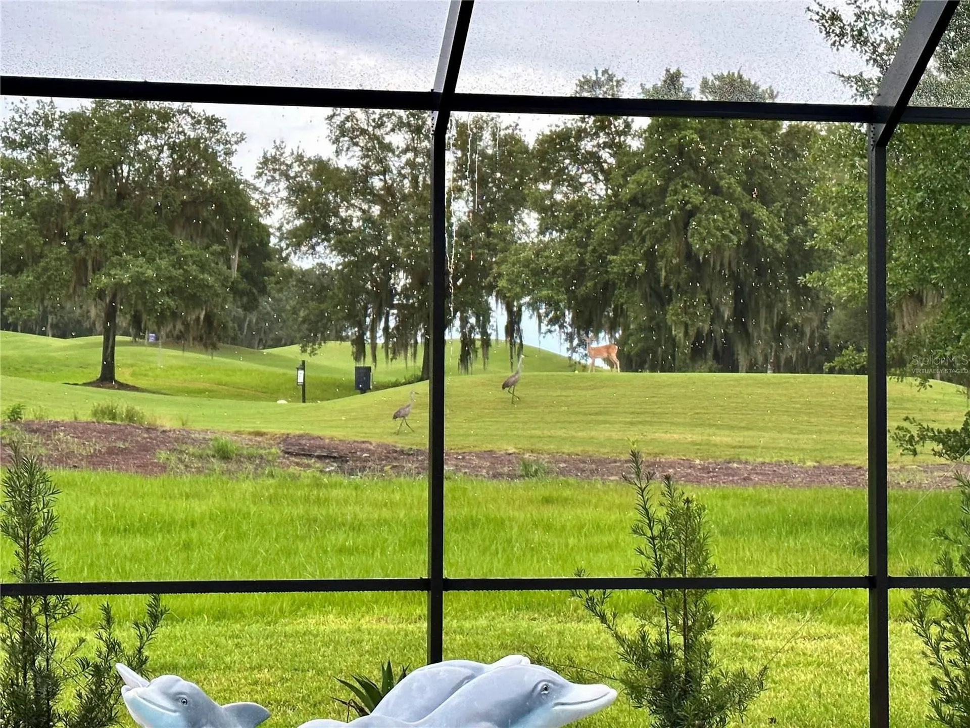 19484 Forest Garden Court Brooksville FL 34601