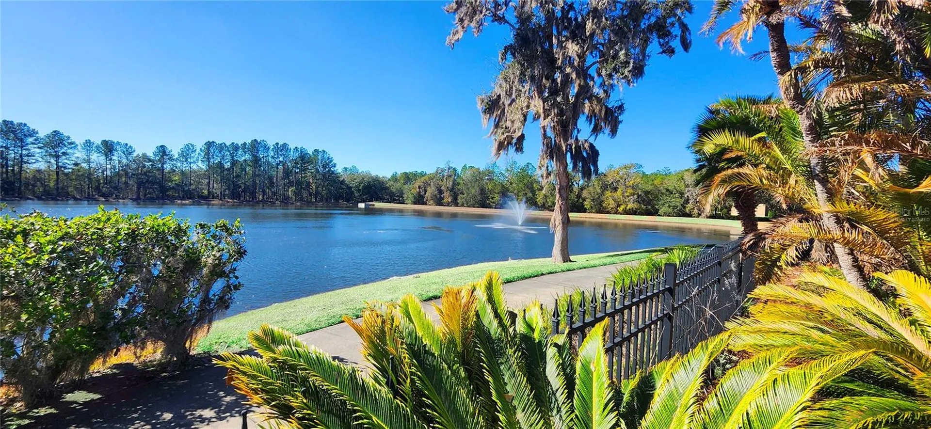 19484 Forest Garden Court Brooksville FL 34601