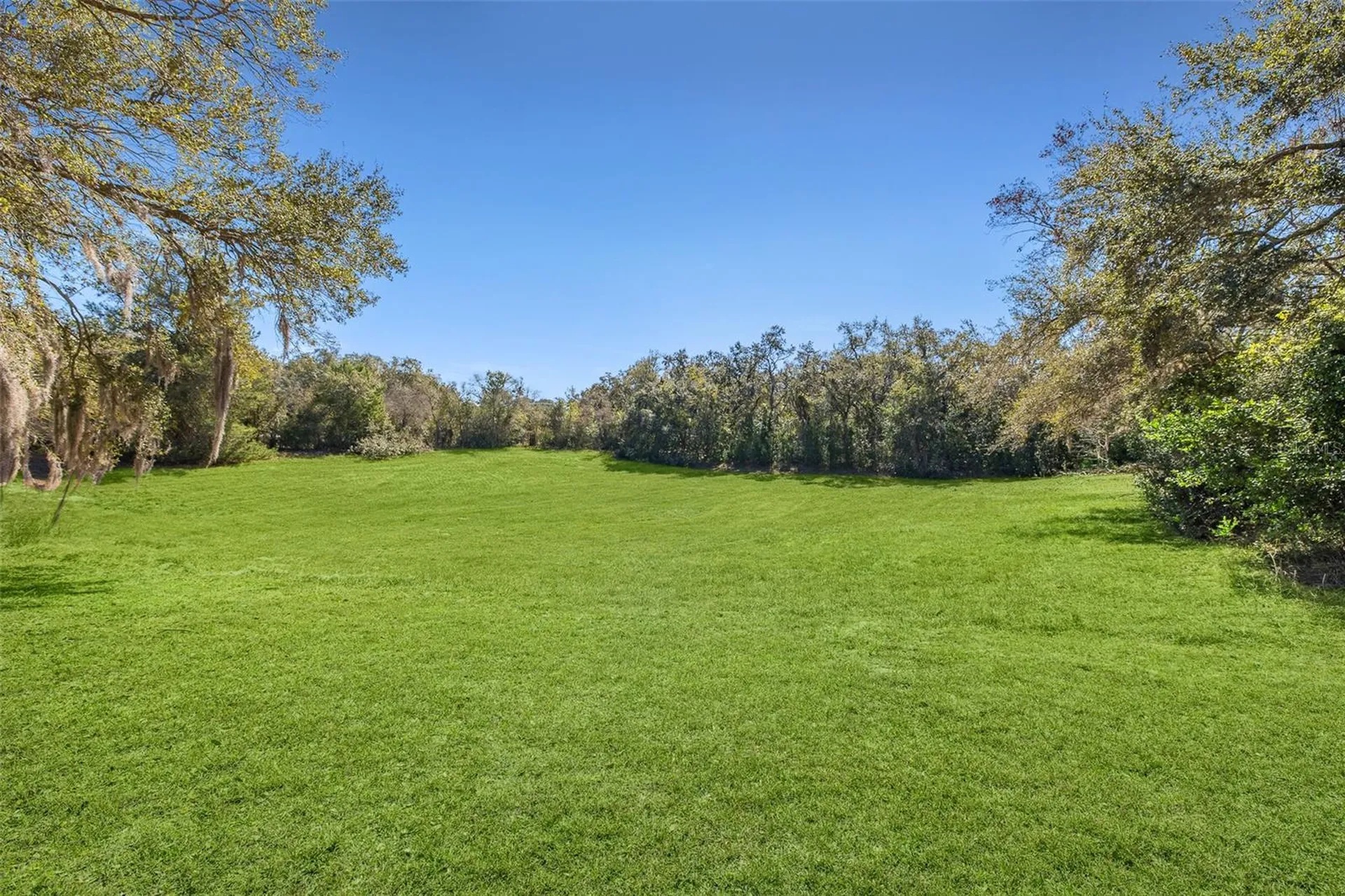 9284 Angora Street Spring Hill FL 34608