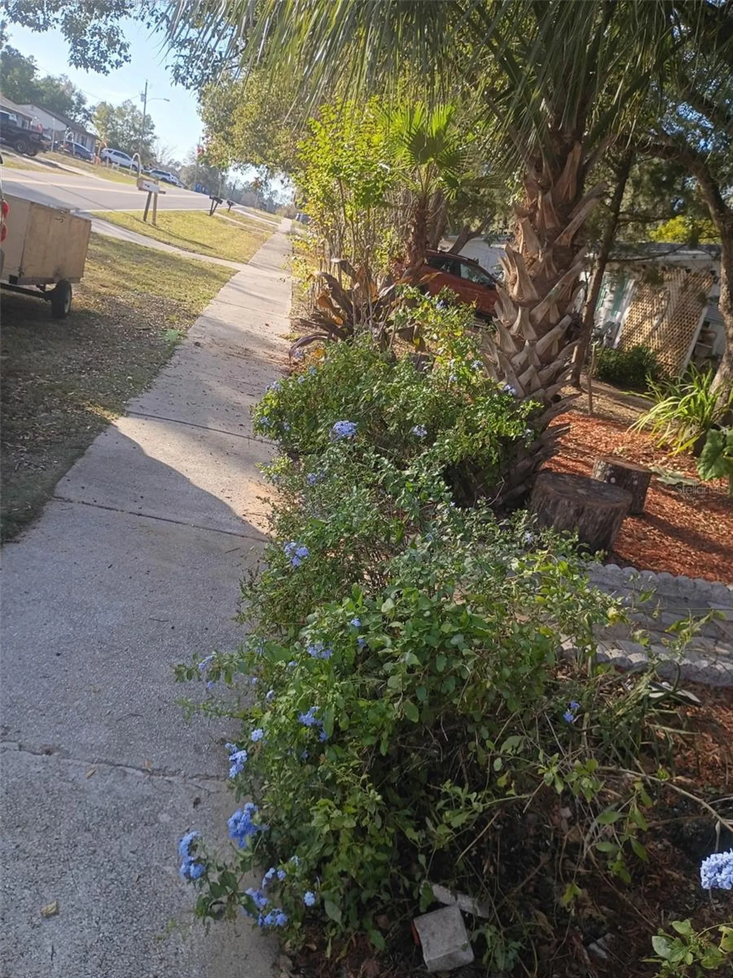 27043 Roper Road Brooksville FL 34602