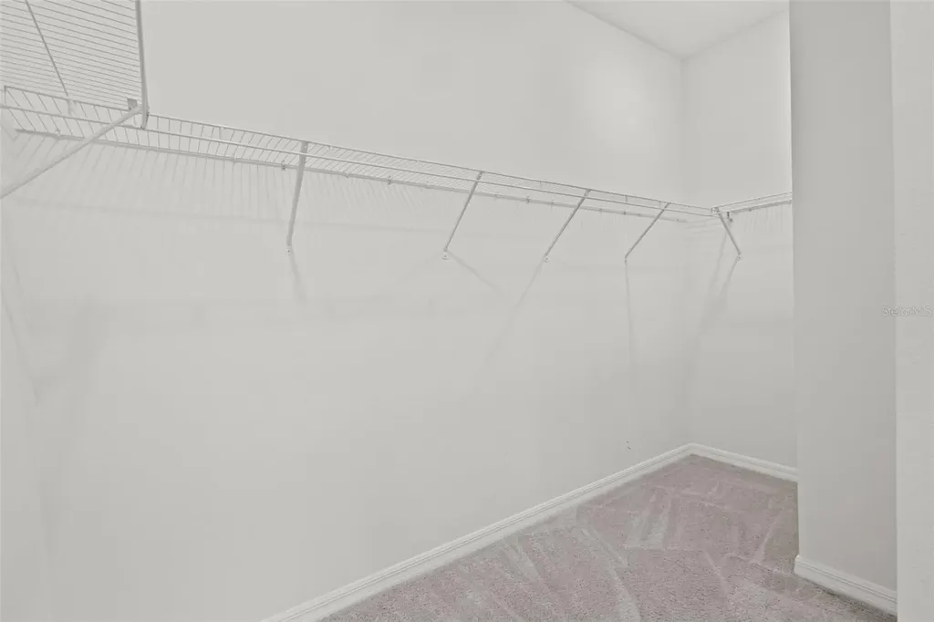 32326 Conchshell Sail Street Wesley Chapel FL 33545
