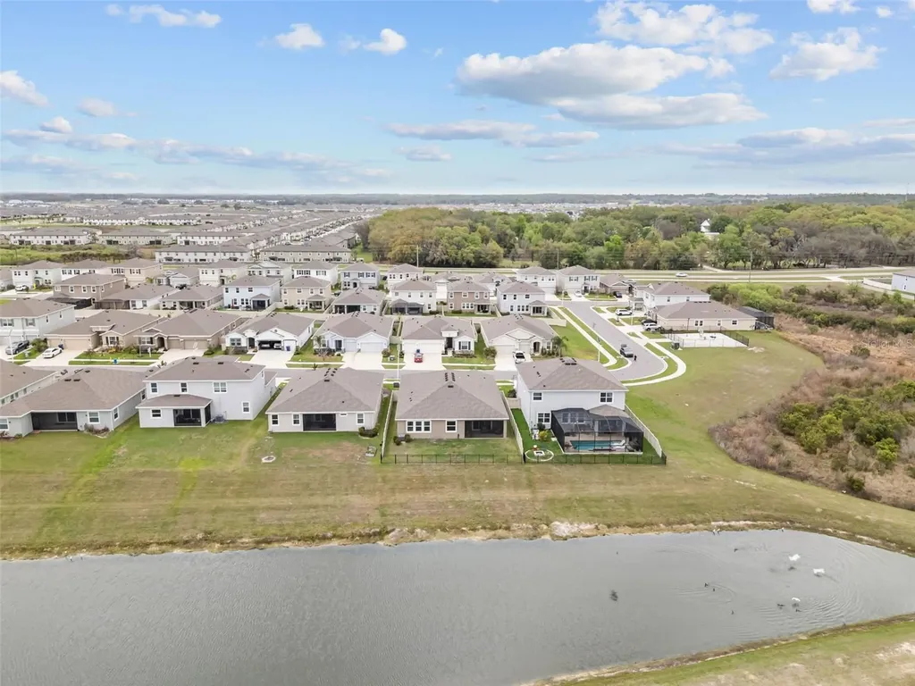 32326 Conchshell Sail Street Wesley Chapel FL 33545
