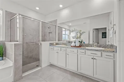 32326 Conchshell Sail Street Wesley Chapel FL 33545