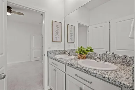 32326 Conchshell Sail Street Wesley Chapel FL 33545