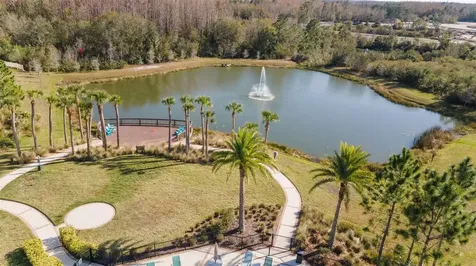 29913 Southwell Lane Wesley Chapel FL 33543