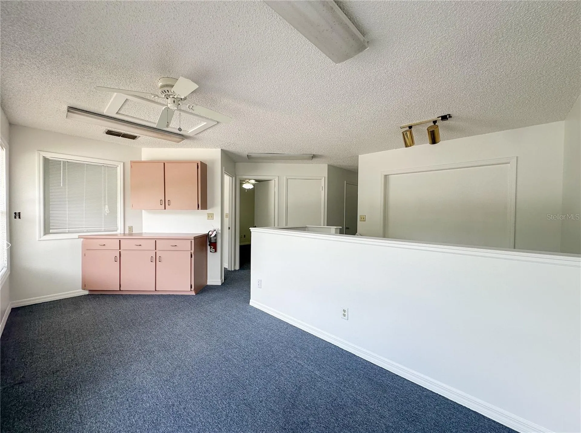 336 E Plant Street Winter Garden FL 34787