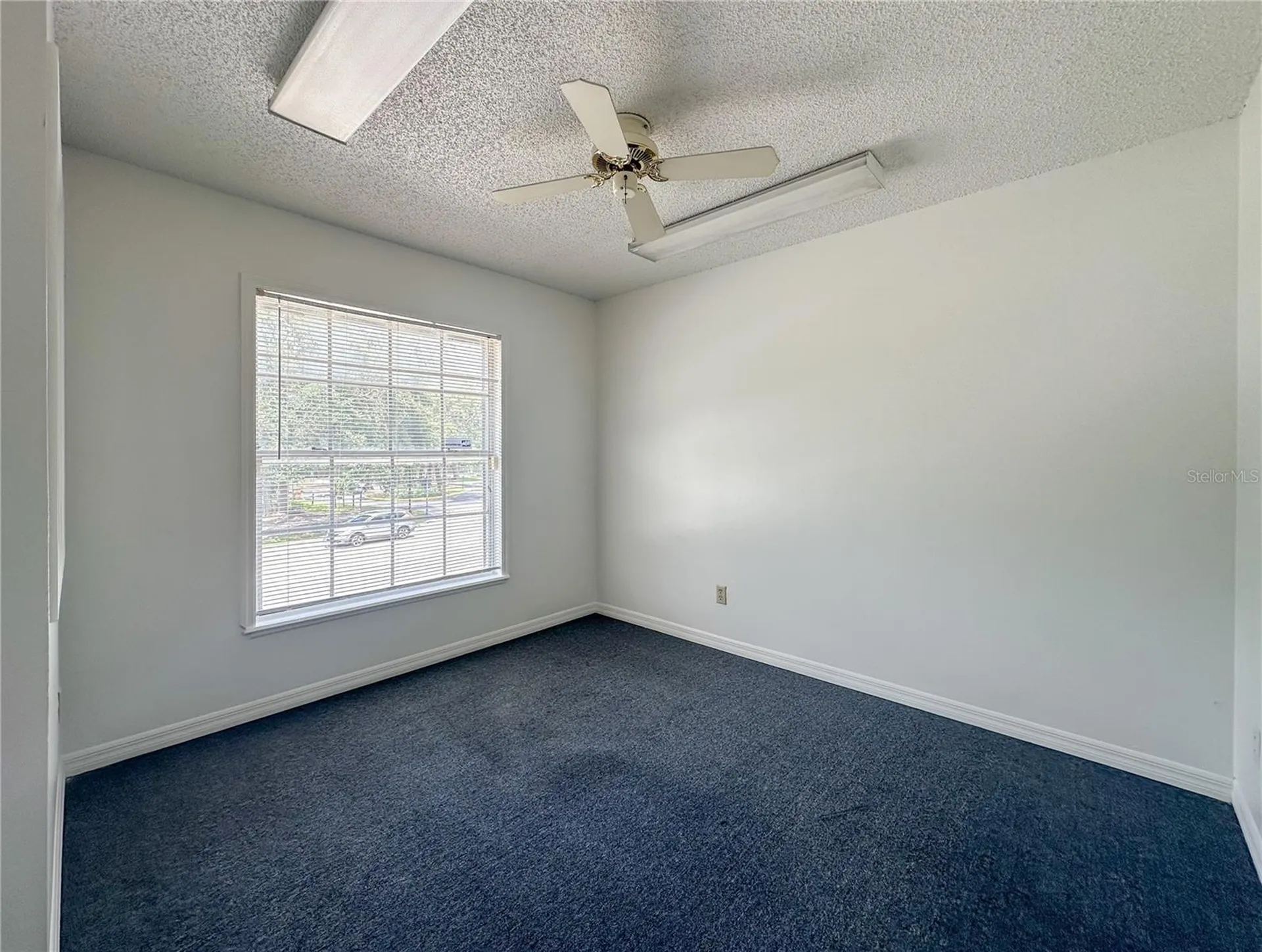336 E Plant Street Winter Garden FL 34787