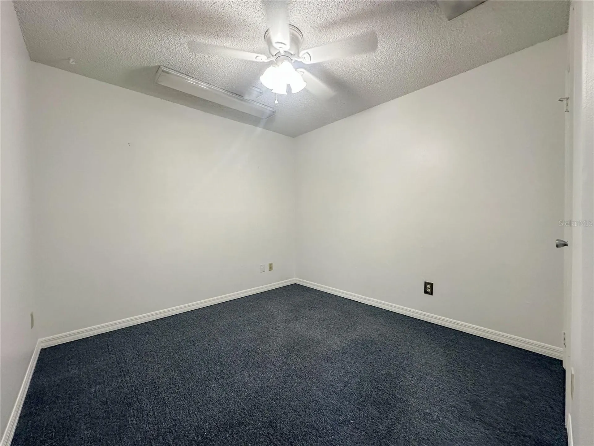 336 E Plant Street Winter Garden FL 34787