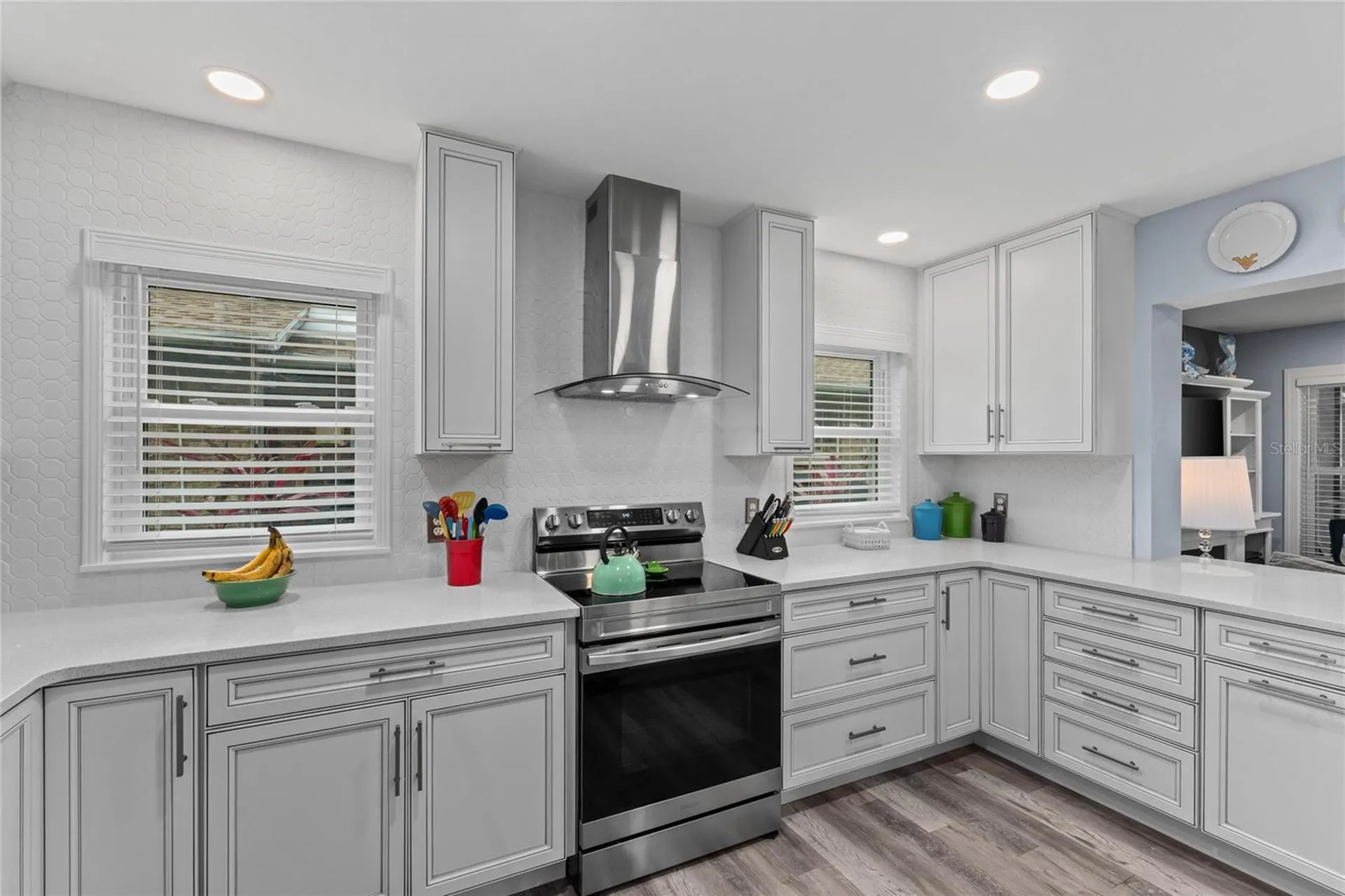 297 Lakeview Drive Tarpon Springs FL 34689
