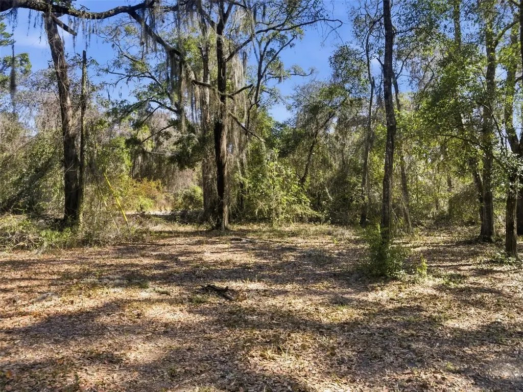 6930 County Road 214 Melrose FL 32666