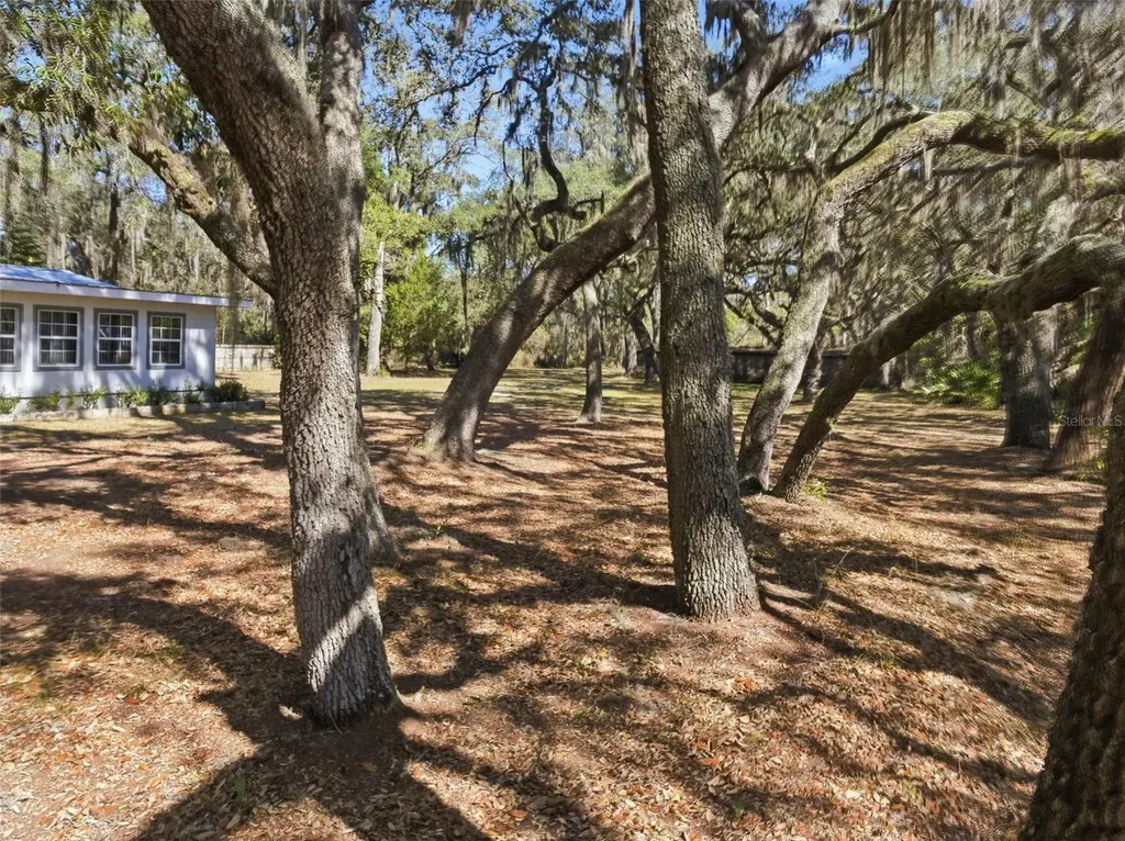 6930 County Road 214 Melrose FL 32666