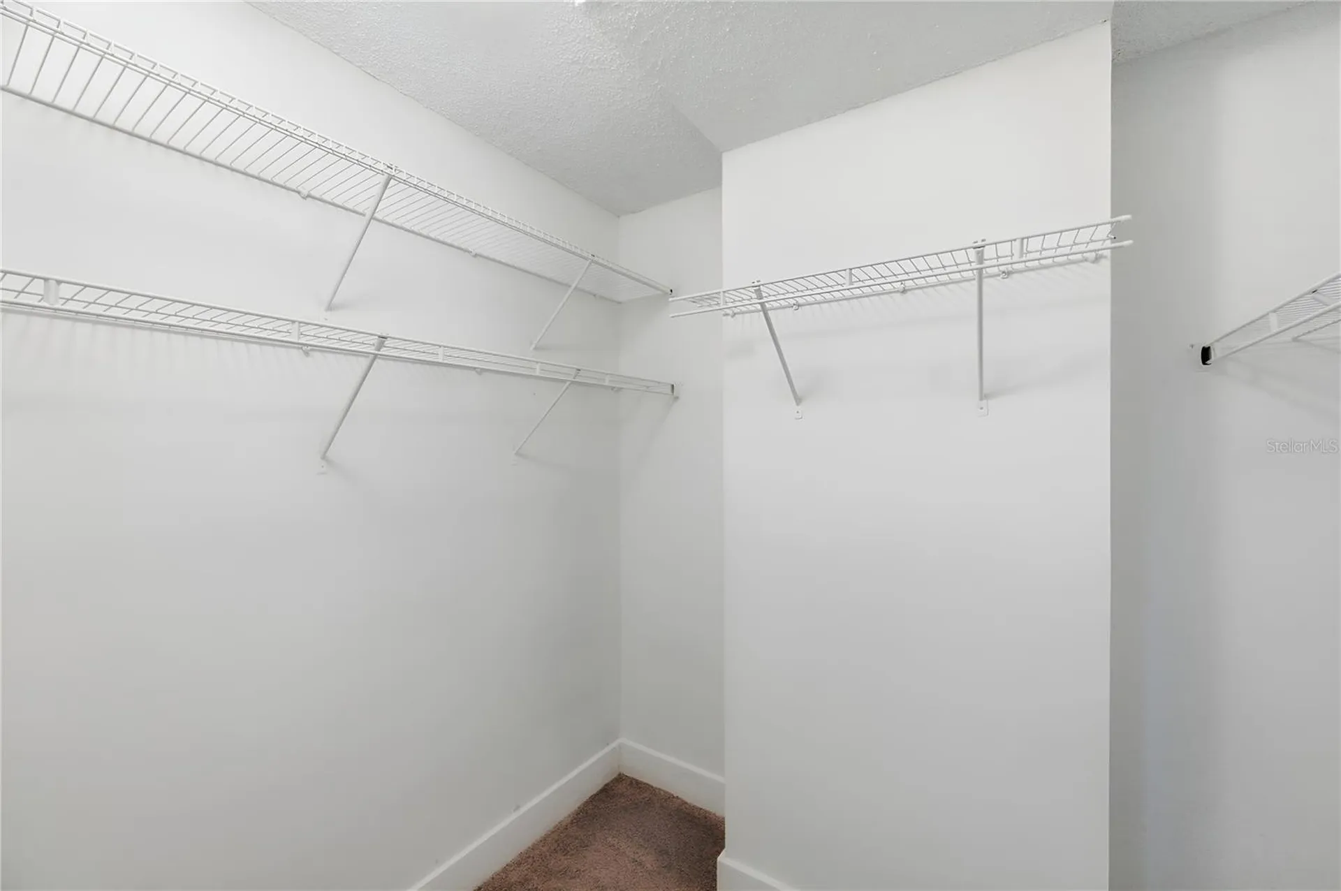 8461 Flagstone Drive Tampa FL 33615