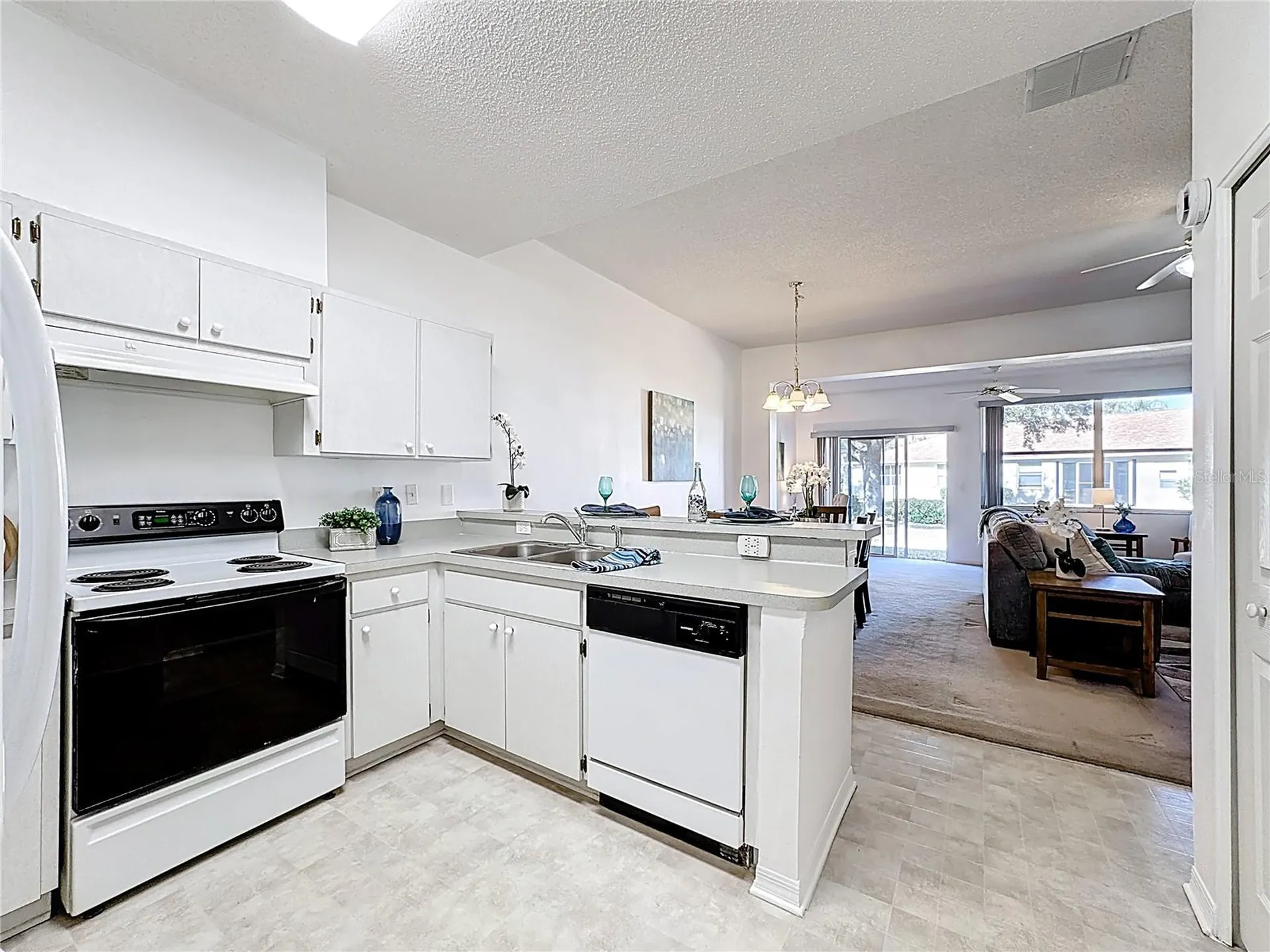 1015 Radison Lake Court Sun City Center FL 33573