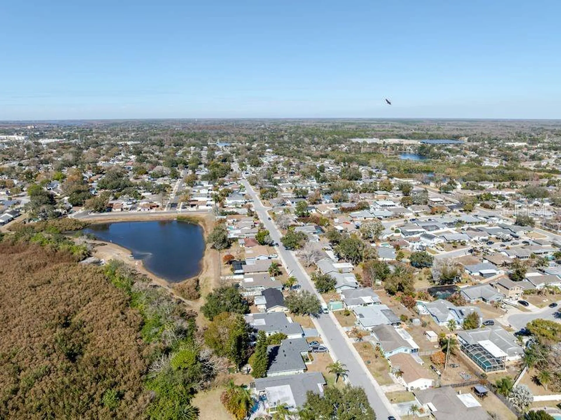 709 Lemonwood Drive Oldsmar FL 34677