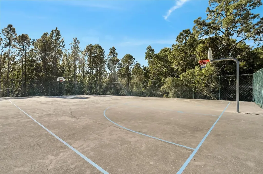 1746 Coriander Drive Kissimmee FL 34759