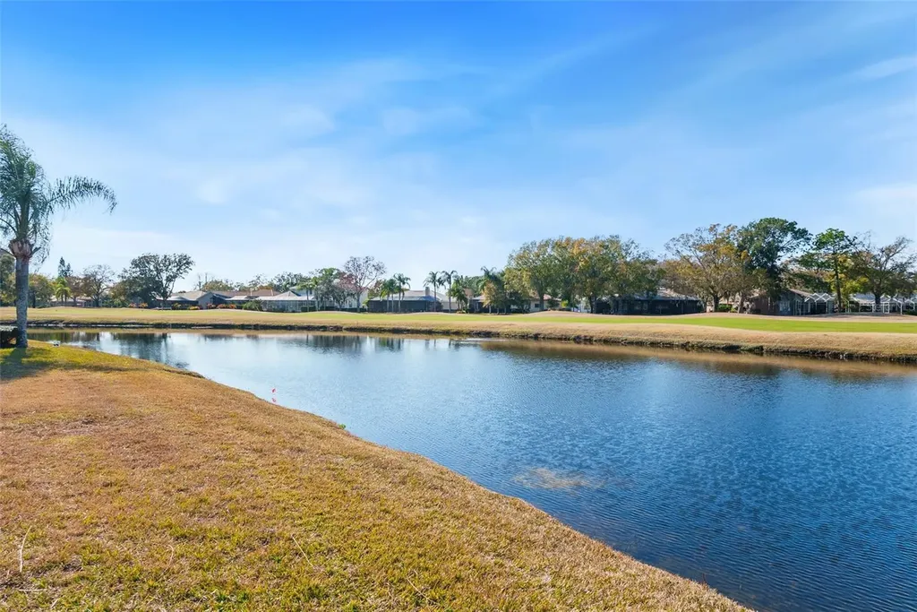 1040 Dartford Drive Tarpon Springs FL 34688